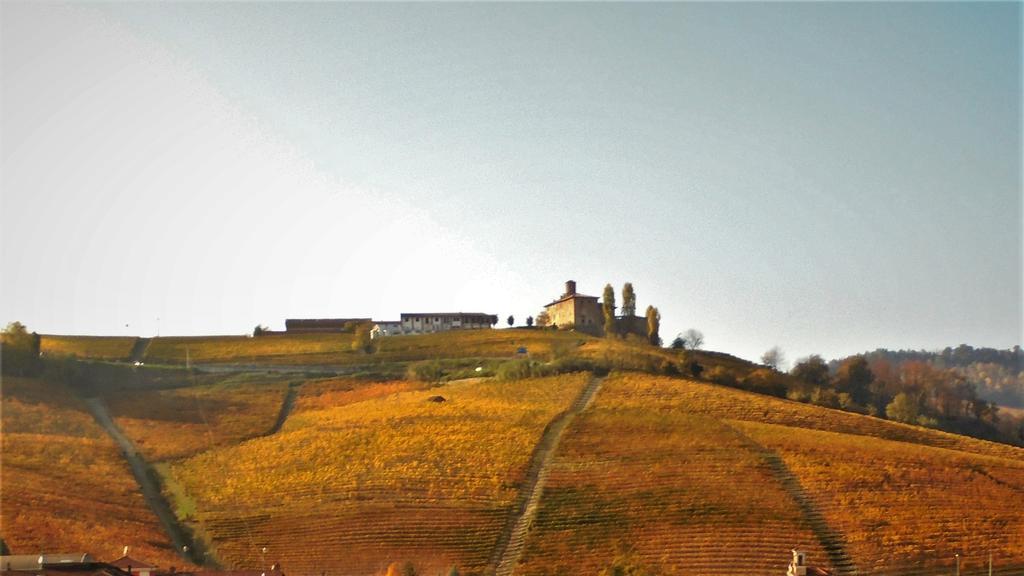 Agriturismo La Terrazza sul Bosco Barolo Esterno foto